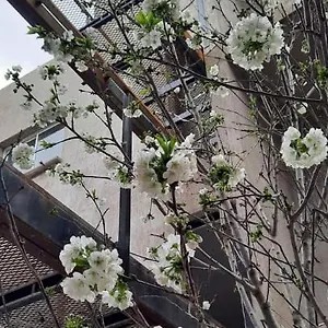 Apartamento El Cerezo, Mendoza